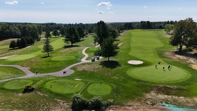 /international/us/13-birdie-grove-rochester-nh-110108059198/