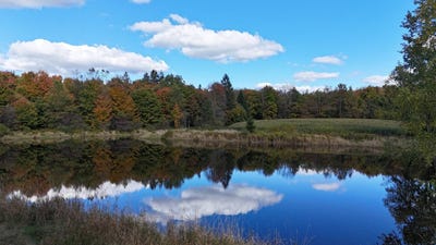 /international/us/duke-rd-cincinnatus-ny-110120529688/