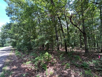 /international/us/lot-36-37-beccles-ln-bella-vista-ar-110101057652/?lang=en