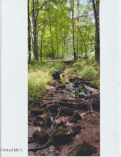 /international/us/1260-valentine-pond-road-horicon-ny-110101245817/