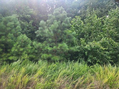 /international/us/forest-ridge-drive-newberry-sc-110093157771/?lang=zh-tw