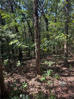 /international/us/tbd-lot-18-larchwood-drive-lot-18-diamond-city-ar-110109704063/