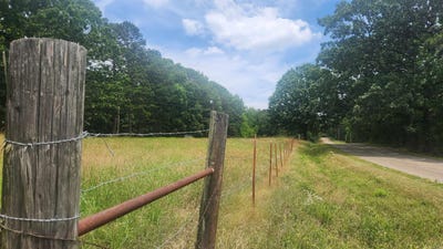 /international/us/1180-owley-road-mount-ida-ar-110108504105/