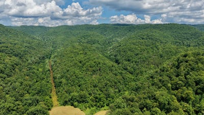 /international/us/rt-7-nr-creamery-rd-wayside-wv-110101330242/?lang=zh-tw