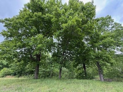 /international/us/old-hwy-72-ashland-ms-110107800904/