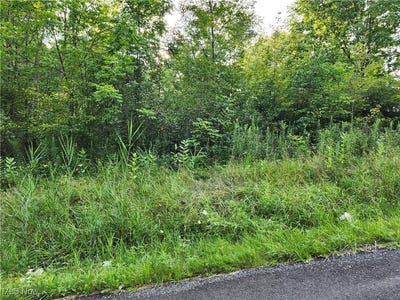 /international/us/county-line-road-lake-milton-oh-110101359886/