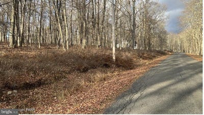 /international/us/lot-288-doe-loop-bushkill-pa-110096646621/