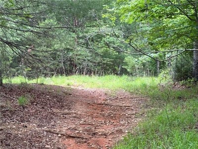 /international/us/old-lowgap-road-lowgap-nc-110108451365/