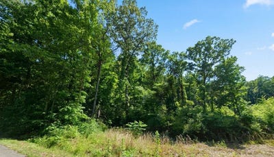 /international/us/77-autumnwood-trail-decatur-al-110119988371/