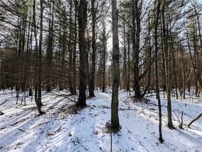 /international/us/markle-hollow-road-corning-ny-110097983043/