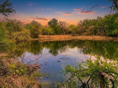 /international/us/1039-1033-creek-crossing-road-nemo-tx-110104186827/