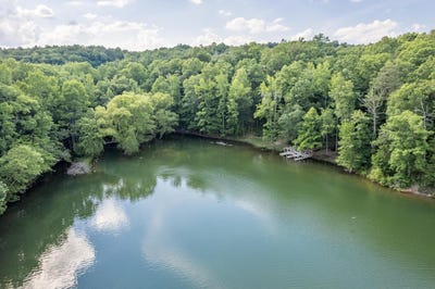 /international/us/lots-34-35-grandview-shores-crane-hill-al-110108356576/