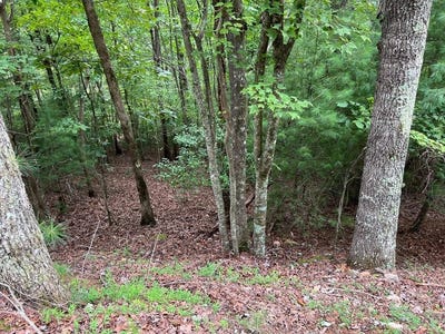 /international/us/167-tara-drive-ellijay-ga-110101369669/?lang=zh-tw