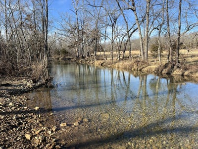 /international/us/shelton-road-willow-springs-mo-110108240316/