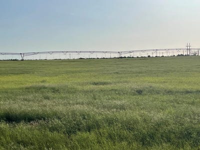 /international/us/4643-county-rd-267-snyder-tx-110100472087/