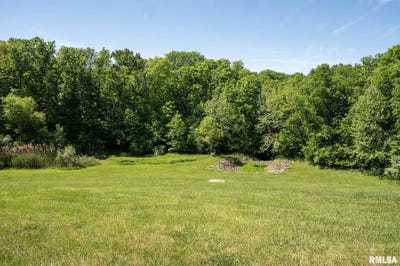/international/us/lot-1-hidden-point-drive-glasford-il-110099638053/