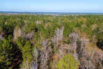 /international/us/county-road-1135-kennard-tx-110104483458/