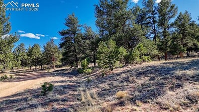 /international/us/arikara-trail-lot-5124-hartsel-co-110107438673/
