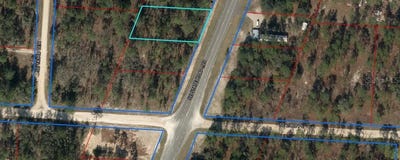 /international/us/2290-se-state-road-121-morriston-fl-110095874595/