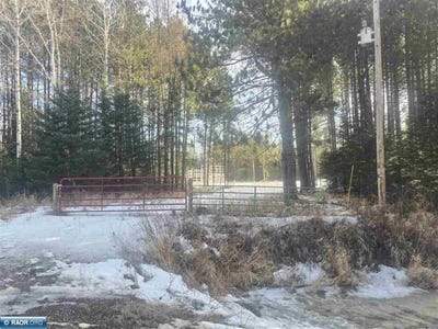 /international/us/4294-clyde-rd-eveleth-mn-110106620985/
