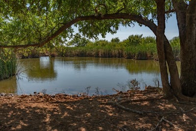 /international/us/tbd-county-road-m-childress-tx-110119575836/