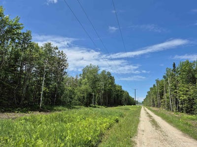 /international/us/40-acres-black-bear-gulliver-mi-110101543138/?lang=fr
