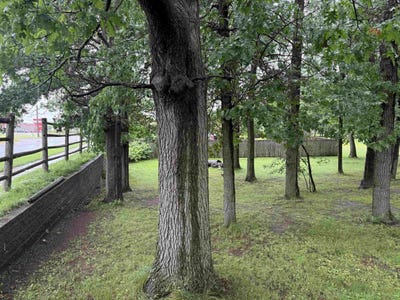 /international/us/5415-normandy-street-weston-wi-110100983380/
