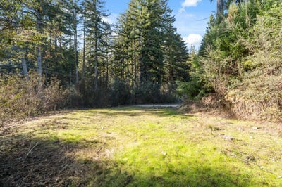 /international/us/16470-jamison-creek-rd-boulder-creek-ca-110104257522/