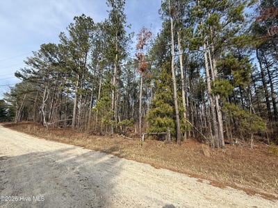 /international/us/165-wayne-lane-hephzibah-ga-110108020359/