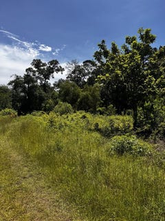 /international/us/460-cherry-creek-drive-shepherd-tx-110100745658/?lang=zh-tw