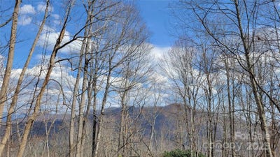 /international/us/joslin-lane-burnsville-nc-110101235453/?lang=fr