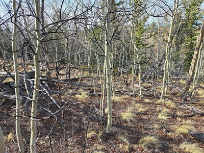 /international/us/93-wyandot-way-lot-12-como-co-110107463967/