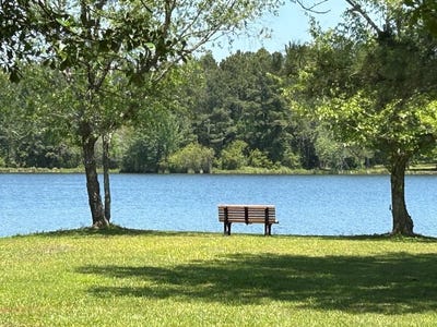 /international/us/garretts-point-lot-12c-meigs-ga-110104177621/