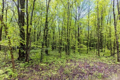 /international/us/6149-belfast-road-stonelick-twp-oh-110109042378/?lang=de