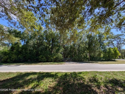 /international/us/jackson-avenue-brooksville-fl-110109131669/
