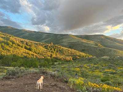 /international/us/tbd-larkspur-way-pocatello-id-110109120514/?lang=zh-tw