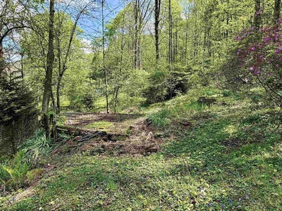 /international/us/94-95-96-crystal-lake-west-union-wv-110107614268/