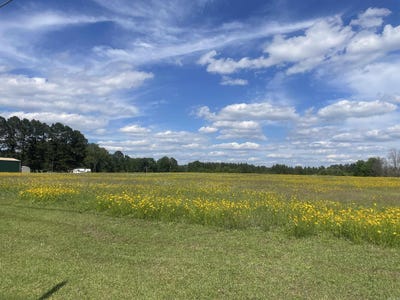 /international/us/highway-291-prattsville-ar-110107865435/