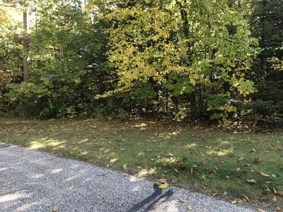 /international/us/w-etherington-street-lot-2-3-mackinaw-city-mi-110103601369/