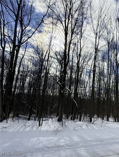 /international/us/tompkins-road-jefferson-oh-110105268186/