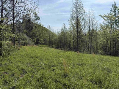 /international/us/needham-rd-lot-4-unincorporated-tn-110107223985/