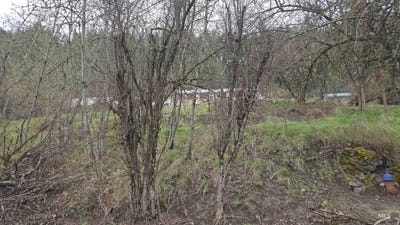 /international/us/tbd-pine-st-blk-43-lot-1-peck-id-110091838762/?lang=zh-tw