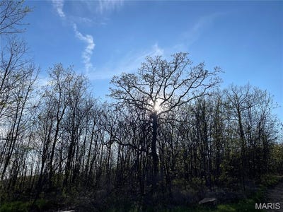 /international/us/1190-private-road-349a-5-piedmont-mo-110107804467/