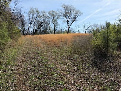 /international/us/n-ar-59-highway-lot-7-decatur-ar-110106379628/