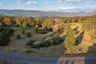 /international/us/1456-marmot-drive-ridgway-co-110100591391/?lang=zh-cn