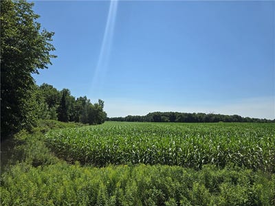 /international/us/00-county-road-f-chetek-wi-110101195436/?lang=zh-cn