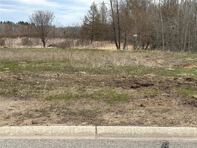 /international/us/lot-13-irvine-avenue-nw-bemidji-mn-110106985487/