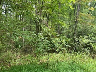 /international/us/ottoma-drive-lot-35-crossville-tn-110108489465/