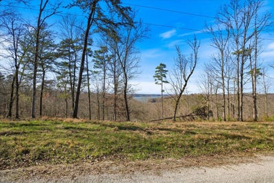 /international/us/0-crestwood-dr-waverly-tn-110108848566/