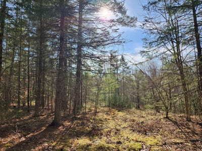 /international/us/151-church-lane-au-sable-forks-ny-110098914614/?lang=zh-cn